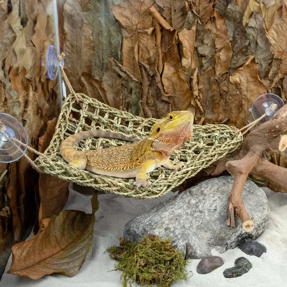 Bearded Dragon Hammock, Reptile Lounger for Chameleon Lizards, Gecko, Snakes, Iguana, Reptiles  Pet Bed Swing