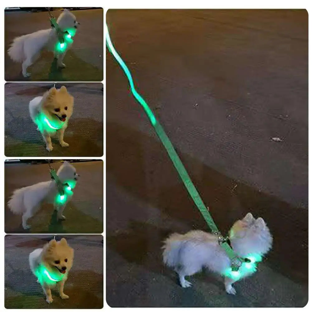 Adjustable LED Harness USB Rechargeable | Light Up Dog Harness | Glow-in-The-Dark Safety Vest | For Small Medium Dogs Pets Arnes