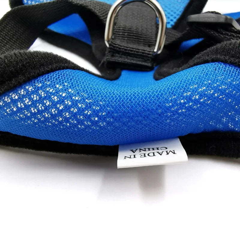 Dog and Cat Harness Walking Lead Leash | Polyester Adjustable Mesh  Vest For Small/Medium Size Pet