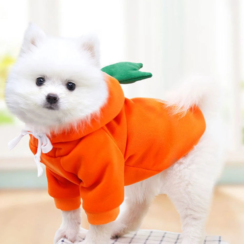 Cute Fruit Dog Clothes for Small Dogs | Hoodies Warm Fleece  Christmas Costume Coat for Dogs And Cats