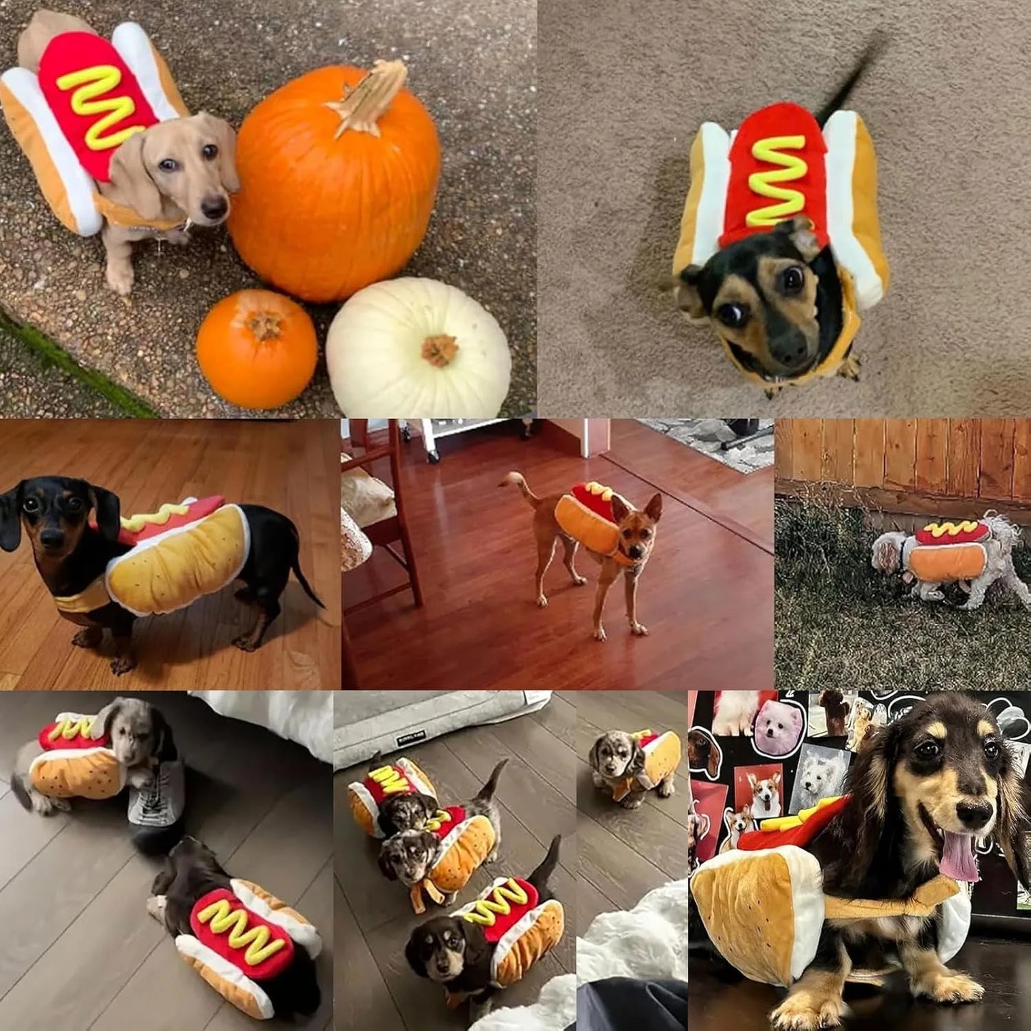 Funny Halloween Dog Costumes | Hot Dog Shaped Dachshund Sausage Adjustable Clothes | Pet Apparel Dressing Up Cat Party Costume Suit