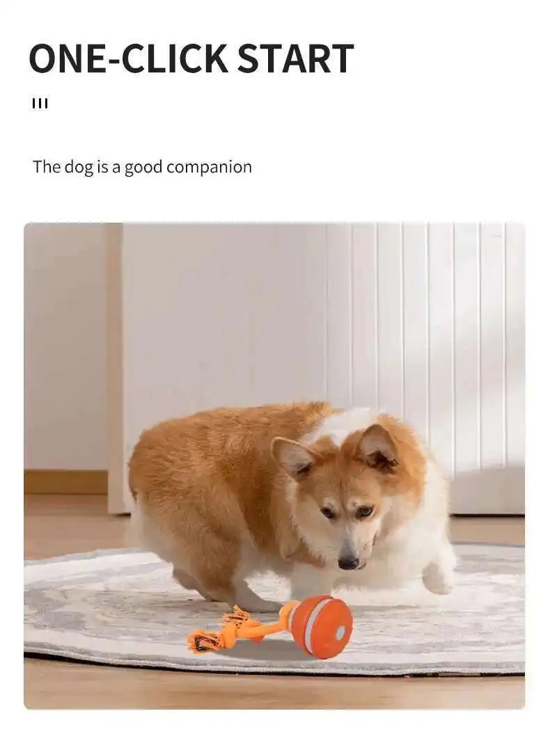 Smart Interactive Teasing Ball With Motion Activated Automatic Moving Squeaky Dog Toy Balls 
 Chew Toys Knot Rope