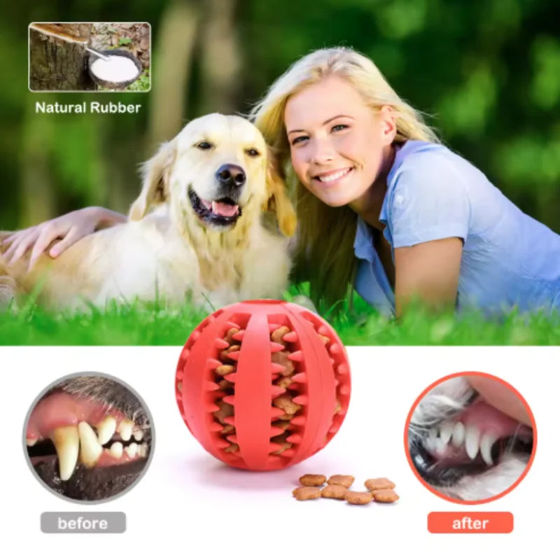 Interactive Rubber Ball | Puppy Chewing Toys | Tooth Cleaning Ball | Treat Feeder Silicone Toy For and Dogs