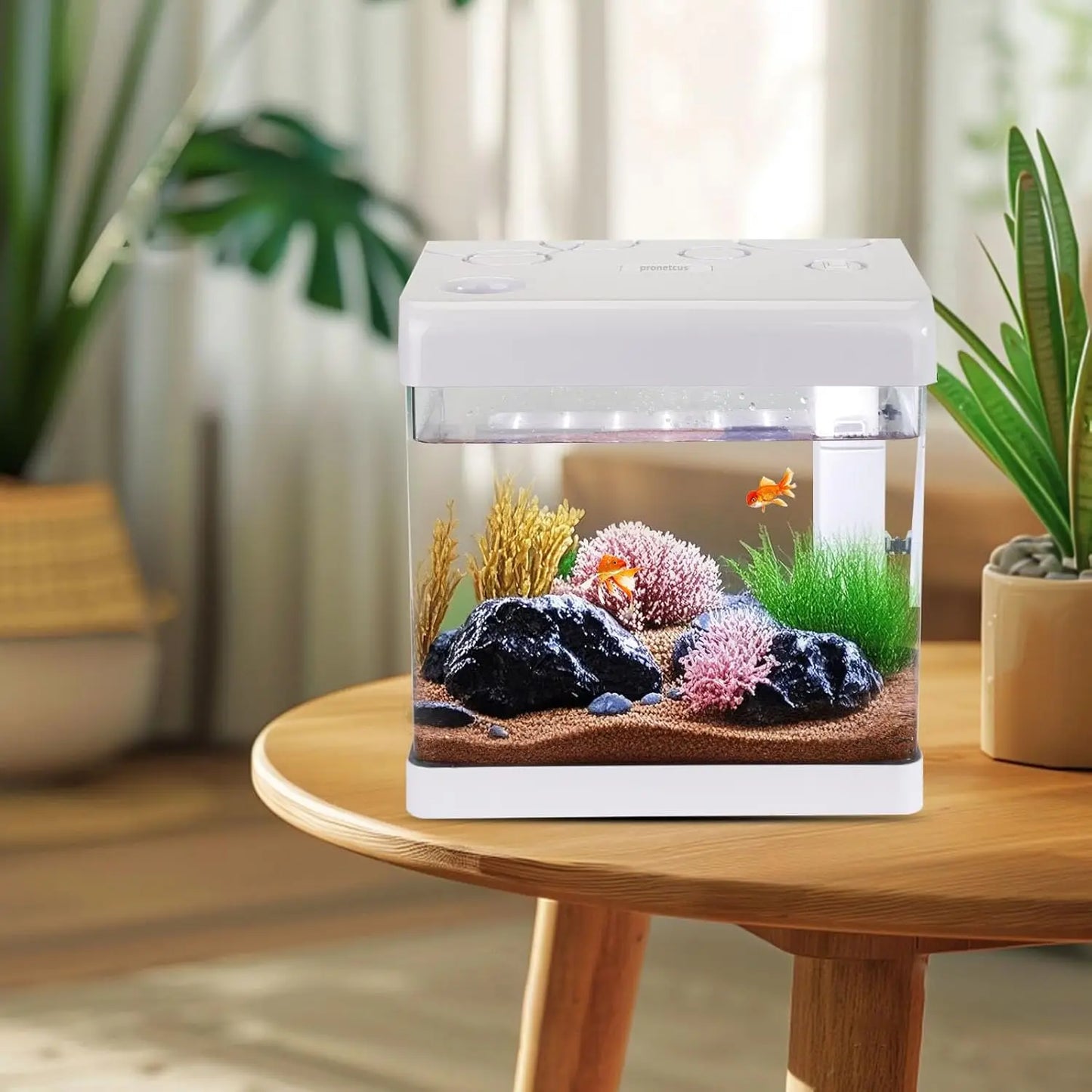5 Gallon Glass Aquarium Kit with Filter and LED Light, Complete Betta Fish Tank Starter Set