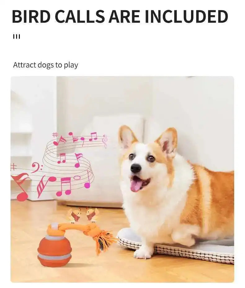 Smart Interactive Teasing Ball With Motion Activated Automatic Moving Squeaky Dog Toy Balls 
 Chew Toys Knot Rope