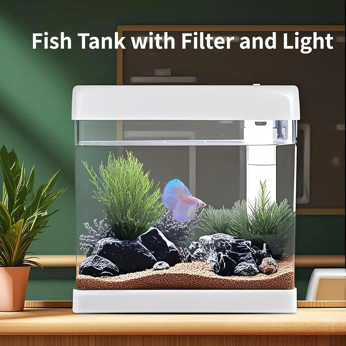 5 Gallon Glass Aquarium Kit with Filter and LED Light, Complete Betta Fish Tank Starter Set