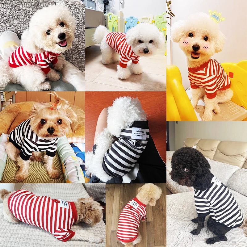 Winter Dog Clothes | Cute Cartoon Dog Warm Hoodie Sweatshirt | Dog Costume Outfits