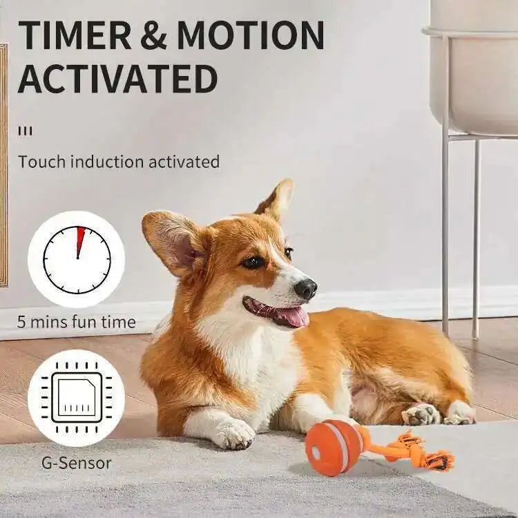 Smart Interactive Teasing Ball With Motion Activated Automatic Moving Squeaky Dog Toy Balls 
 Chew Toys Knot Rope