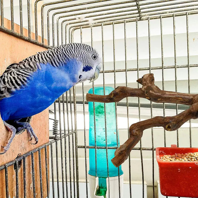 Standing Stick Wild Grape Wood Pole for Parrot/Cockatiel/Parakeet | Bite Claw Grinding Toy Bird Cage Accessories