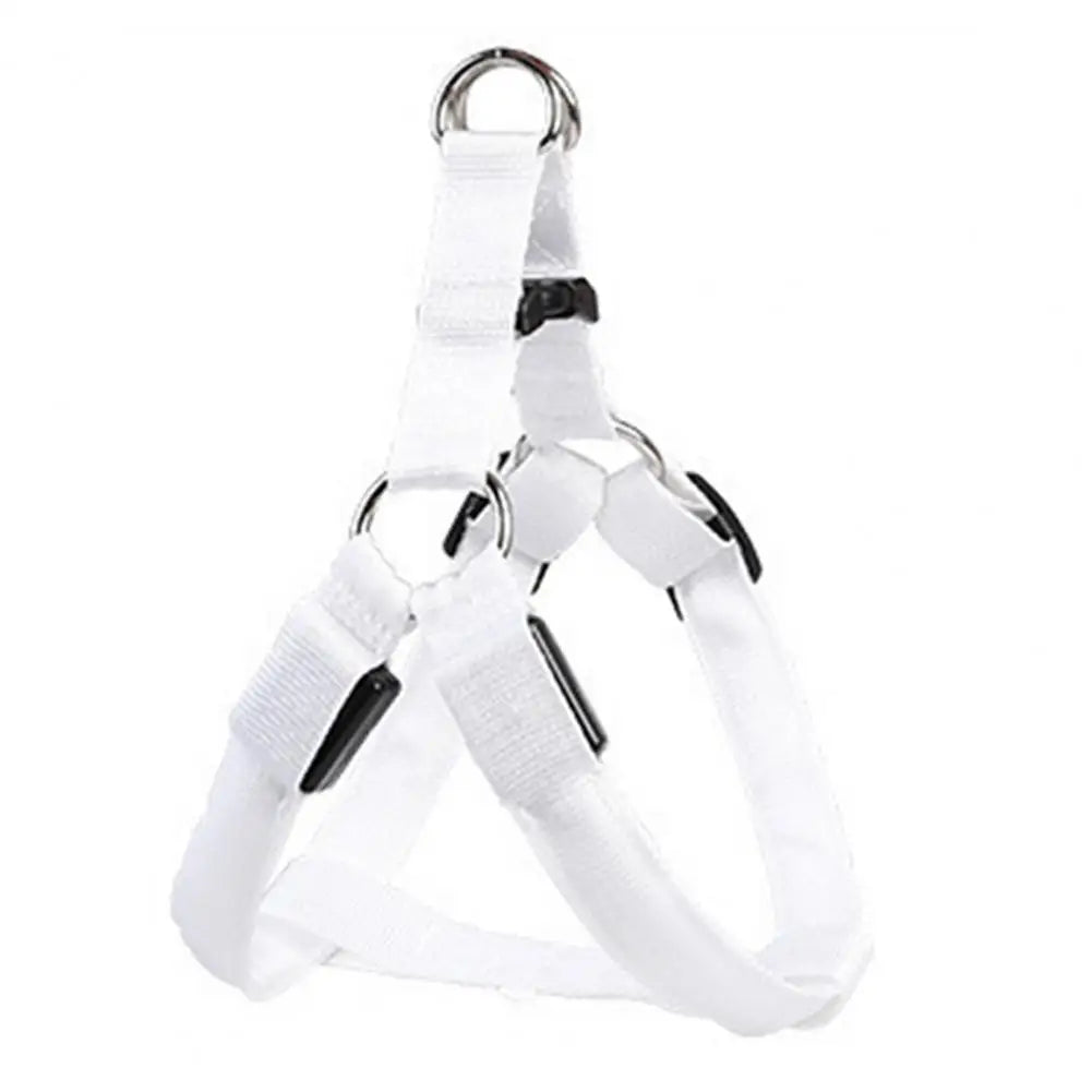 Adjustable LED Harness USB Rechargeable | Light Up Dog Harness | Glow-in-The-Dark Safety Vest | For Small Medium Dogs Pets Arnes