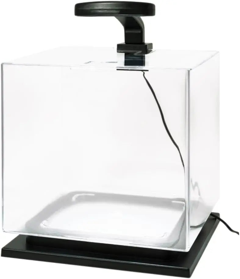 3 Gallon Cube Aquarium Kit with LED Light, Filter & Pedestal Base for Small Fish
