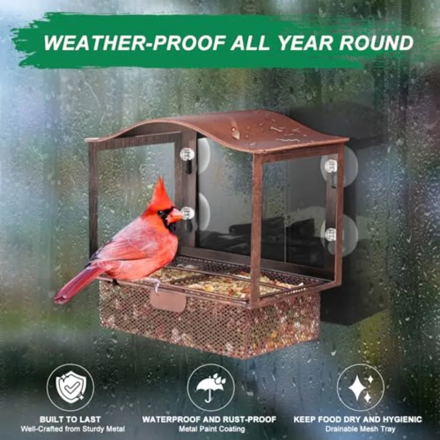 【Spot goods】Window Bird Feeder Metal with  Strong Suction Cups Wild Bird Feeder