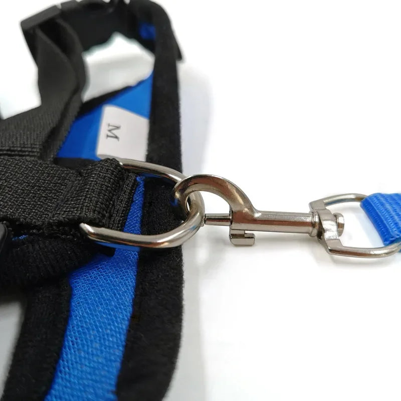 Dog and Cat Harness Walking Lead Leash | Polyester Adjustable Mesh  Vest For Small/Medium Size Pet