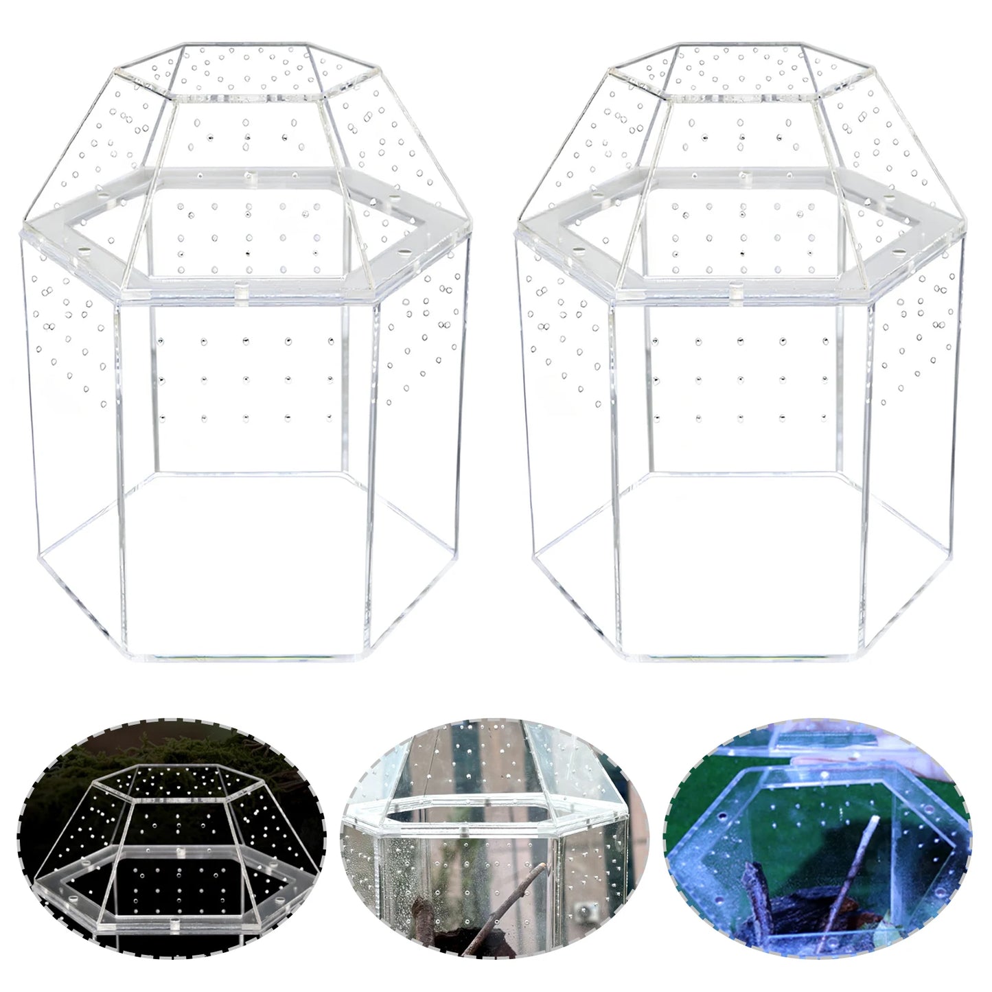 Jumping Spider Enclosure Acrylic Terrarium Habitat All-Side Ventilation, Reptile Breeding Box, Ventilated for Frog, Crickets, Snails