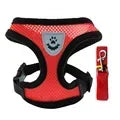 Dog and Cat Harness Walking Lead Leash | Polyester Adjustable Mesh  Vest For Small/Medium Size Pet