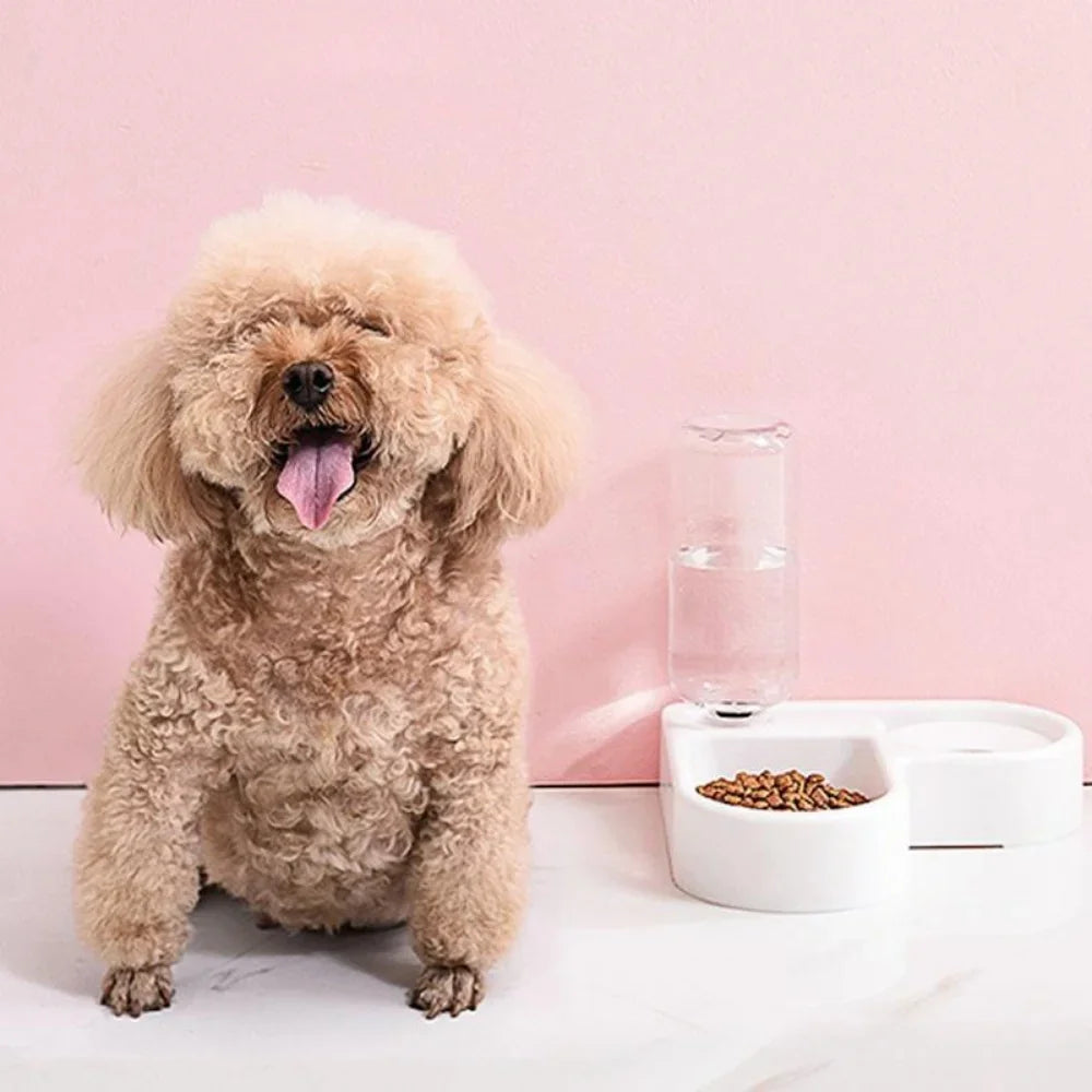 Automatic Pet Feeder & Water Bowl 500ml, Portable Slow Feeder Dish for Cat & Dog