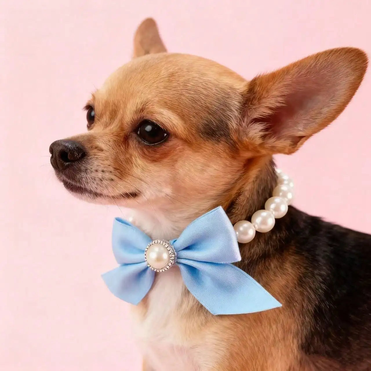 1pc Pet Cat Pearl Necklace, Cute Pearl Bow Tie Collar,Suitable For Small/Medium Dogs And Cats, Pet Christmas Decorative Necklace