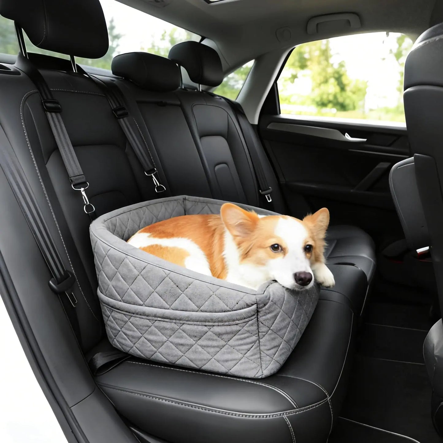 Dog Booster Car Seat, Detachable Washable with Safety Belt for Small Medium Puppies Cats Under 30-35 LB