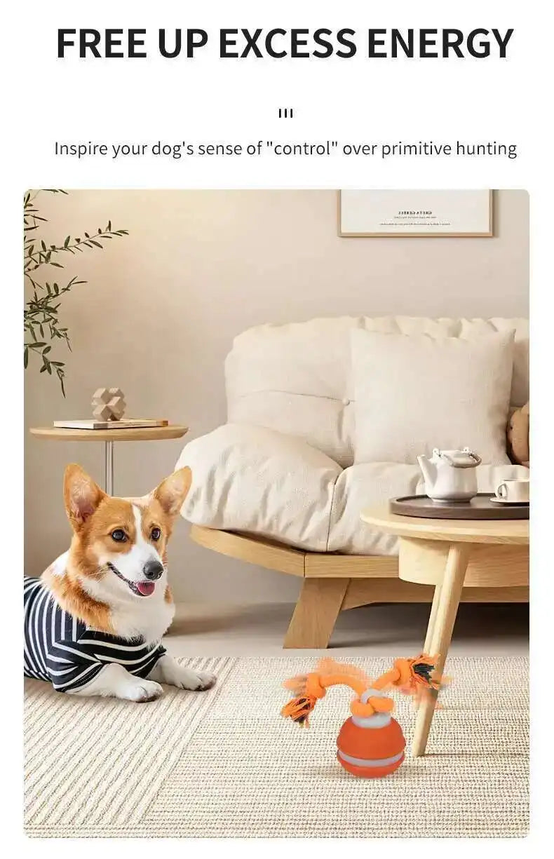 Smart Interactive Teasing Ball With Motion Activated Automatic Moving Squeaky Dog Toy Balls 
 Chew Toys Knot Rope