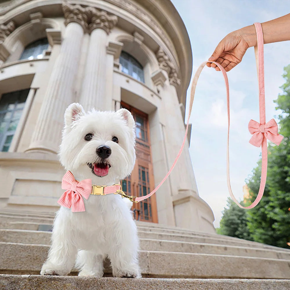 Dog Collar Leash Set Cute Bowknot |  Soft Velvet Pet Necklace Leashes  For Small Medium Dogs