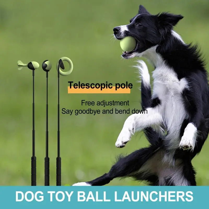Dog Toys Throwing Pole Stick | Tennis Launcher Pole Outdoor Training Toys