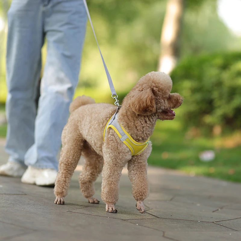 Dog Harness Leash Set for Small Dogs | Adjustable Puppy/Cat Harness Vest French Outdoor Walking Lead Leash