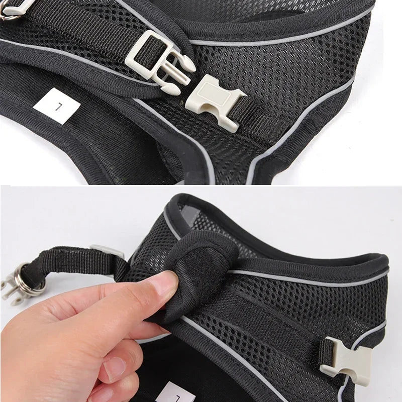 Adjustable Harness Set for  Puppy and Cat Harness Vest suitable for French Bulldog, Chihuahua, Small Dog Collar Pet Leash