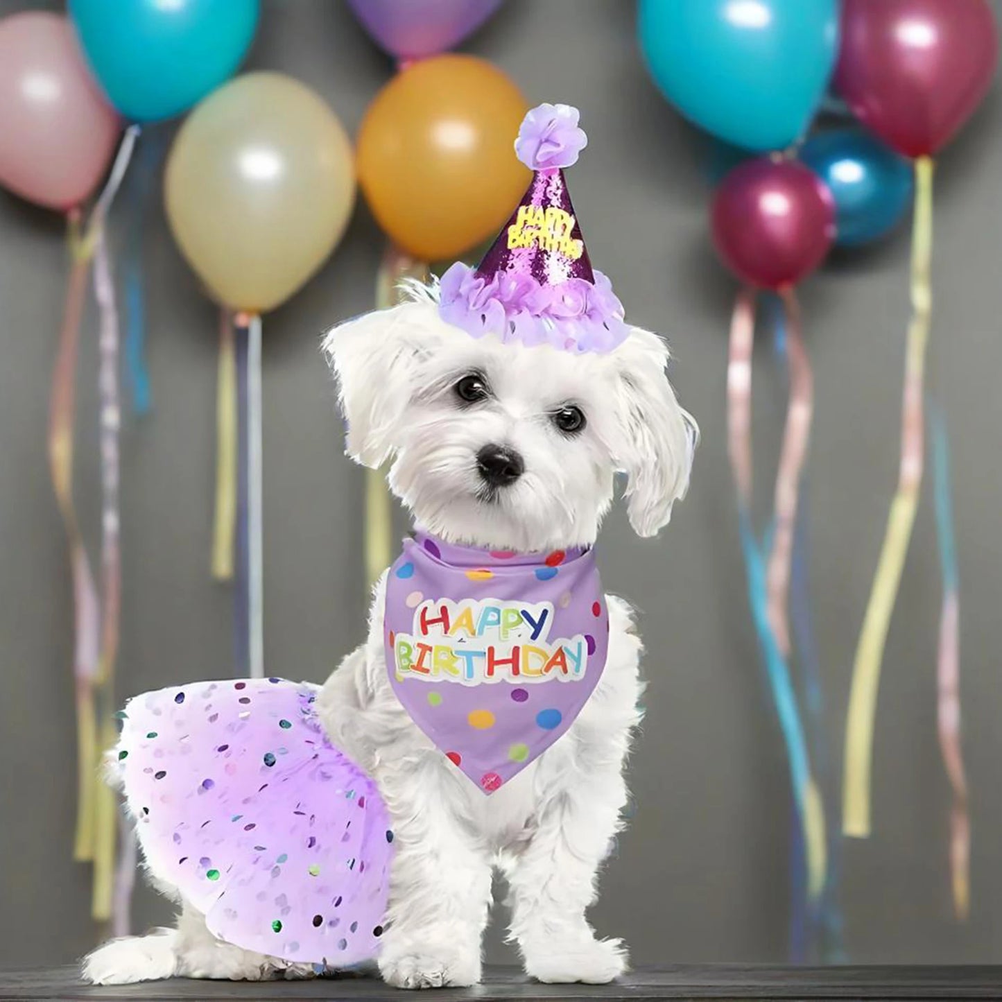 Cute Dog Birthday Costume Set | Adorable Party Hat with Matching Skirt and Scarf for Indoor and Outdoor Celebrations