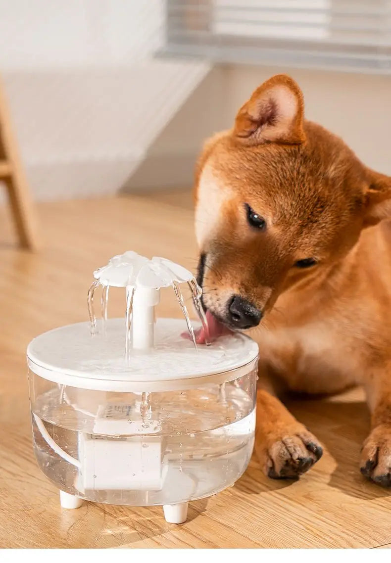 USB Electric Mute 1L Pet Water Fountain Automatic  Water Dispenser For Cats
