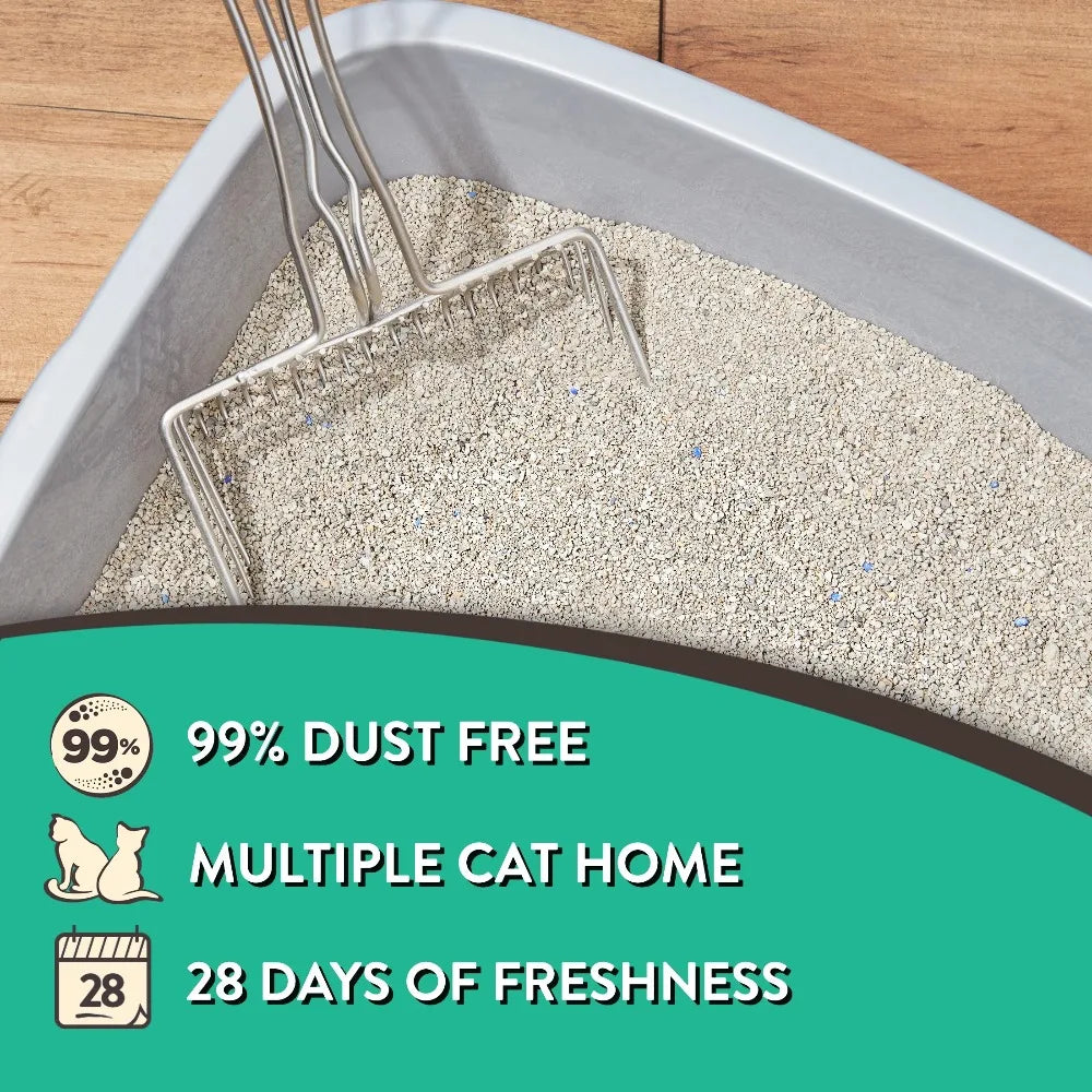 4 Pack Clumping Cat Litter Fresh Scent 20 lbs Jug | Heavy Duty Unscented Odor Control |  Multi Cat Strong Clump Bentonite