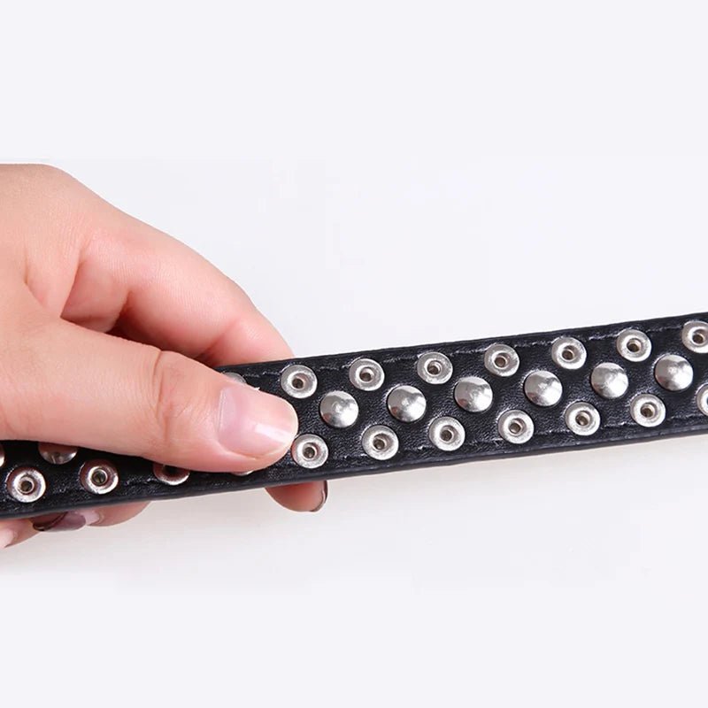 High Quality Dog Rivet Collar and Leash Set | Anti Bite  Collars for Medium Large Dogs