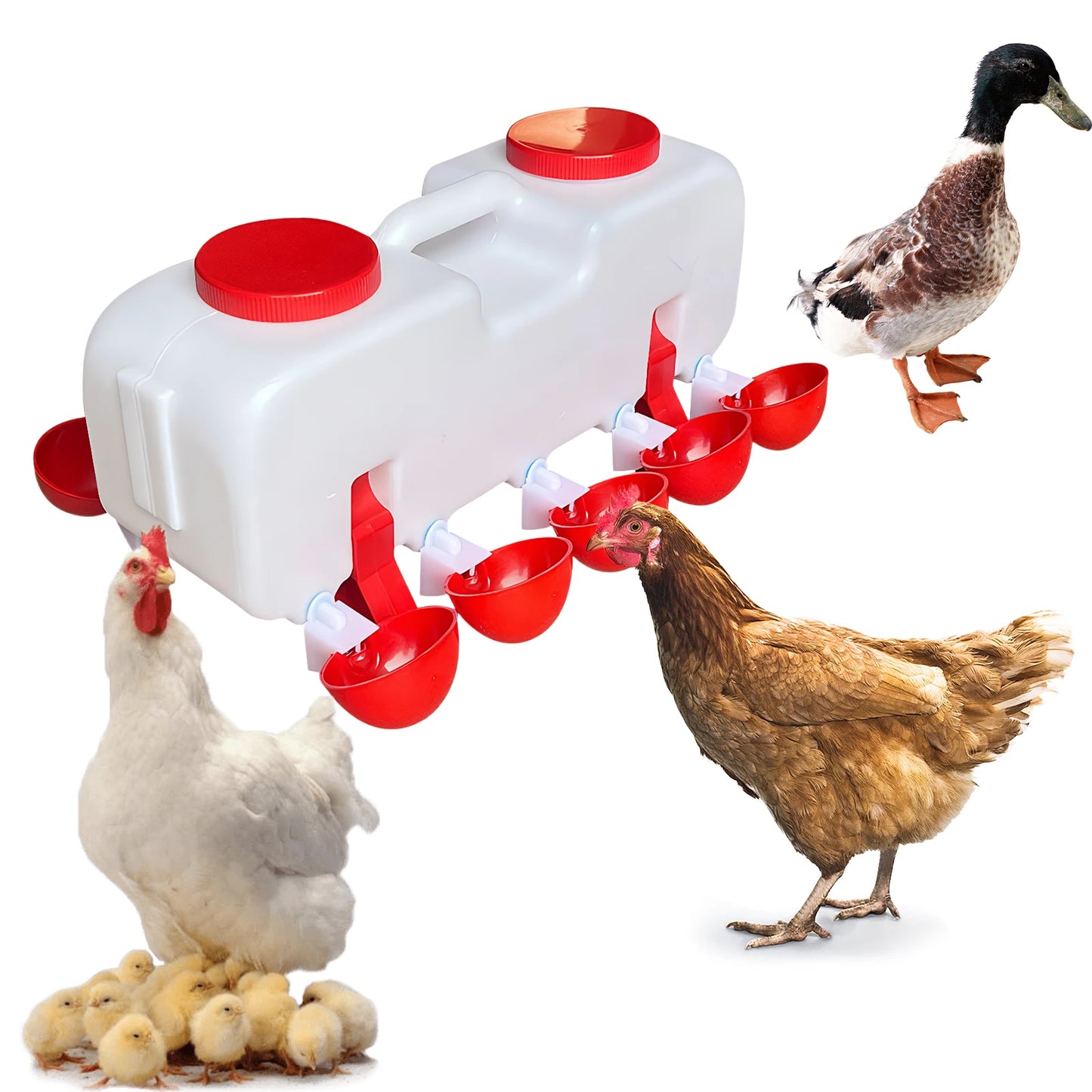 10KG Self Filling Automatic Chicken Water Dispenser with  Drinking Cup for Quail, Duck, Turkey