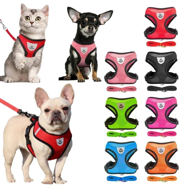 Dog and Cat Harness Walking Lead Leash | Polyester Adjustable Mesh  Vest For Small/Medium Size Pet