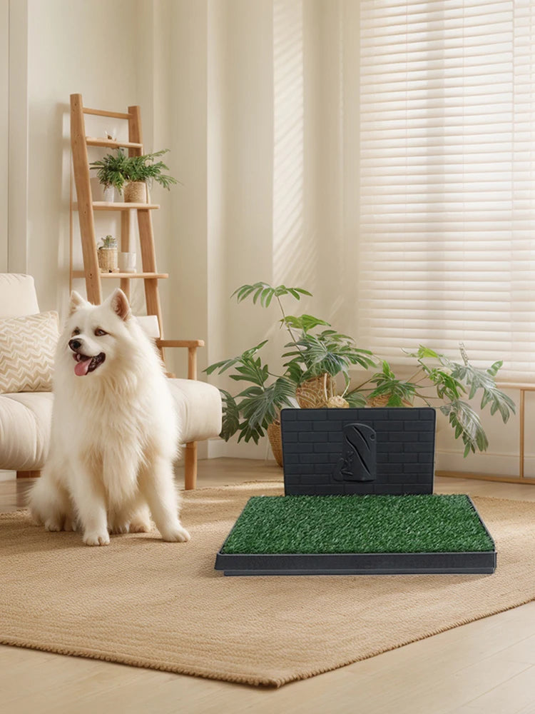 Dog Grass Pad with Large Tray Reusable Training Pads with Pee Baffle | Ideal for Small and Medium Dogs