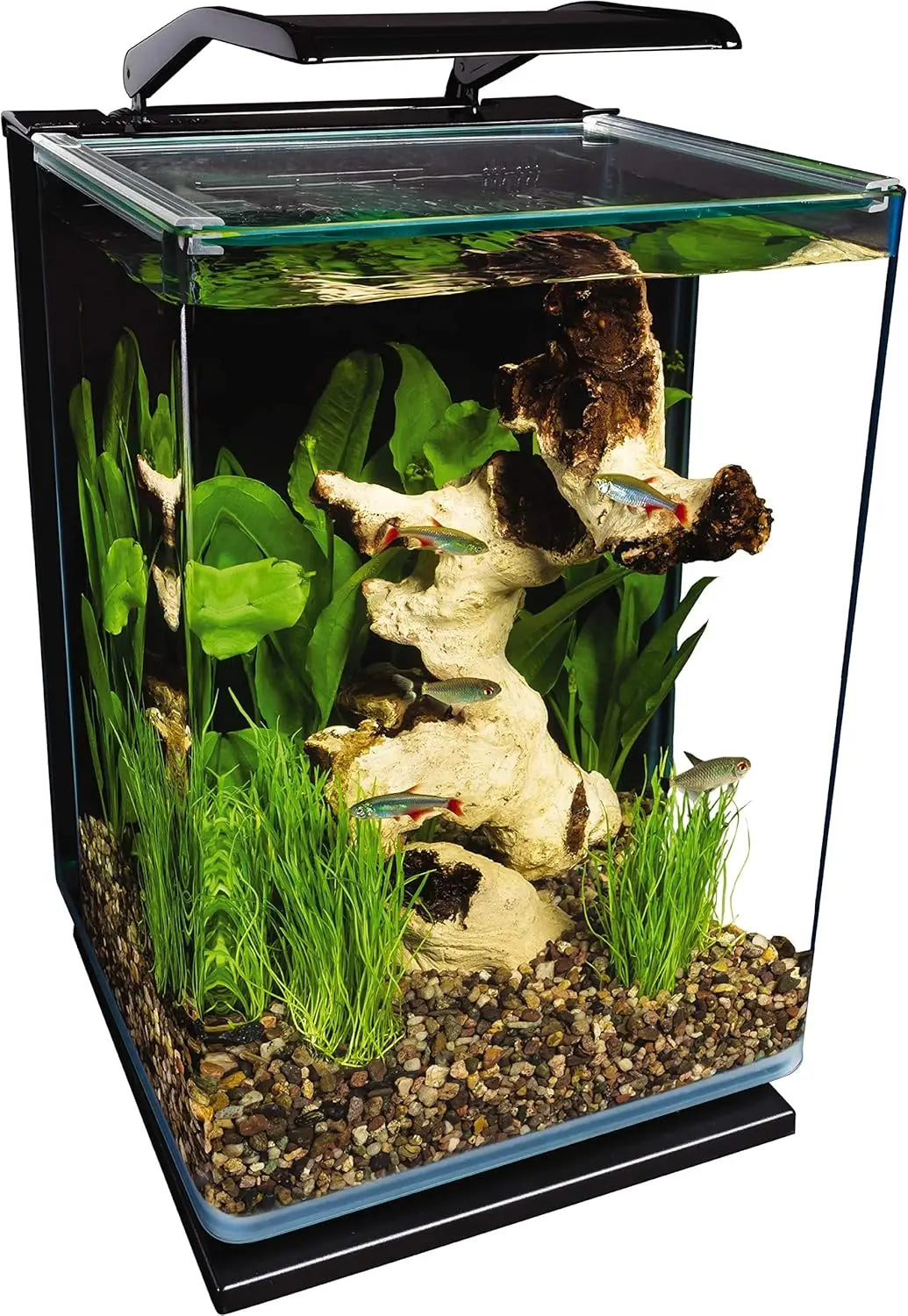 5-Gallon Glass LED Aquarium Kit with Hidden Filtration, Sleek Design and Dual Lighting