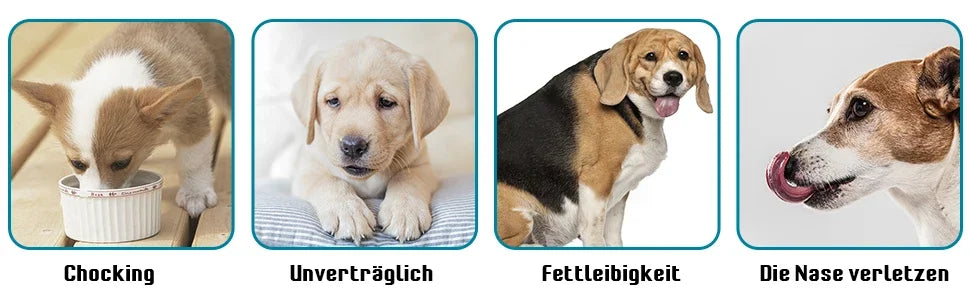 Pet Feeder Plugin Powerful Suction Cup, Slow Food Anti Choking Bowl,  Convenient Easy Clean Extended Dogs Eating Time