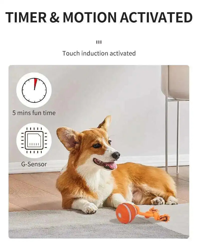Smart Interactive Teasing Ball With Motion Activated Automatic Moving Squeaky Dog Toy Balls 
 Chew Toys Knot Rope