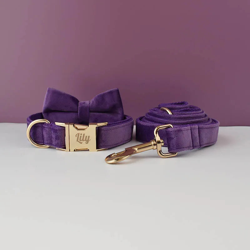 Velvet Dog Collar Leash Free Engrave for Medium Large Dogs Pet Necklace Accessories