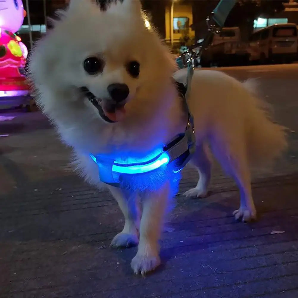 Adjustable LED Harness USB Rechargeable | Light Up Dog Harness | Glow-in-The-Dark Safety Vest | For Small Medium Dogs Pets Arnes