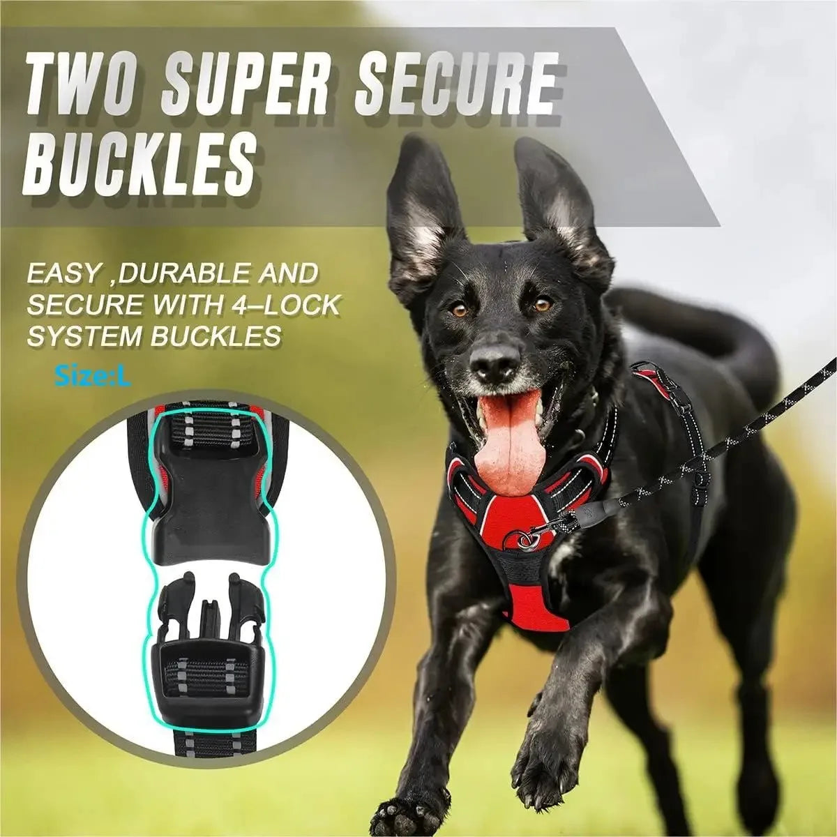 Dog Collars Harness, Big Vests Leash   for Dogs and  Puppy Medium Small Set