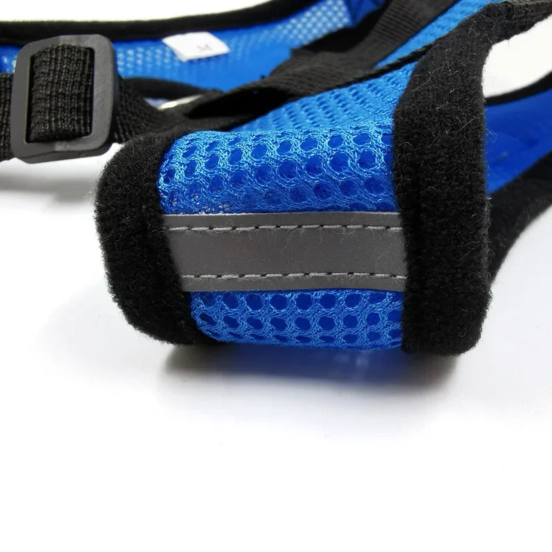 Dog and Cat Harness Walking Lead Leash | Polyester Adjustable Mesh  Vest For Small/Medium Size Pet