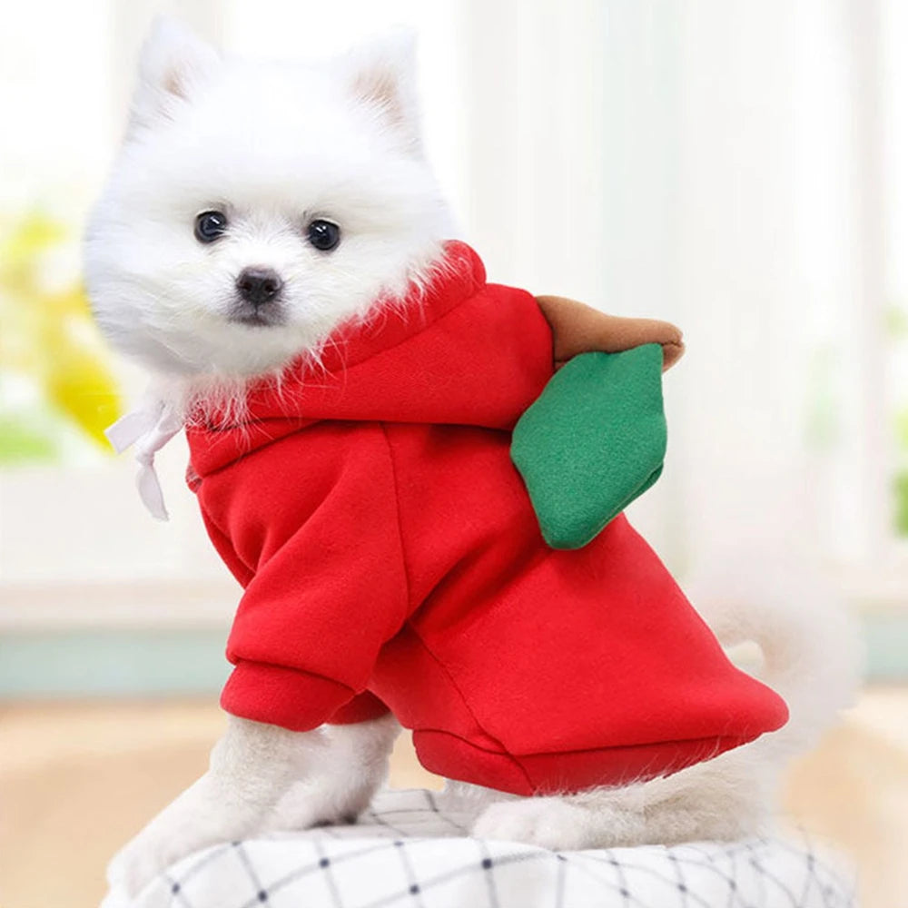 Cute Fruit Dog Clothes for Small Dogs | Hoodies Warm Fleece  Christmas Costume Coat for Dogs And Cats