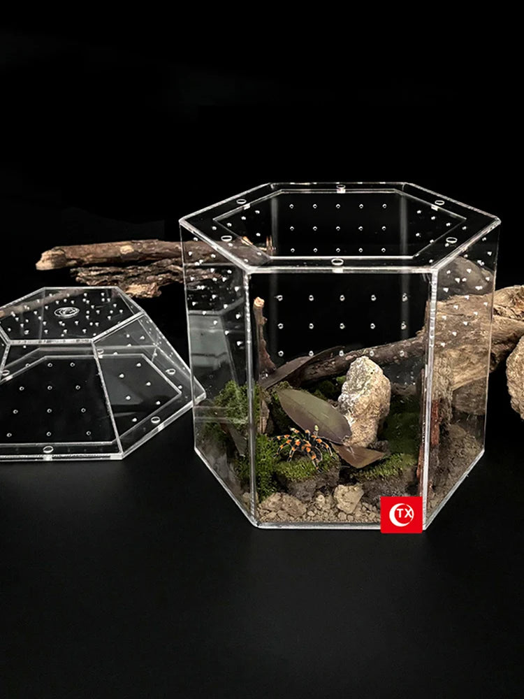 Jumping Spider Enclosure Acrylic Terrarium Habitat All-Side Ventilation, Reptile Breeding Box, Ventilated for Frog, Crickets, Snails