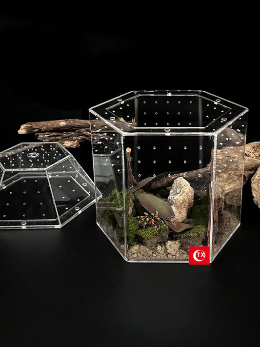 Jumping Spider Enclosure Acrylic Terrarium Habitat All-Side Ventilation, Reptile Breeding Box, Ventilated for Frog, Crickets, Snails