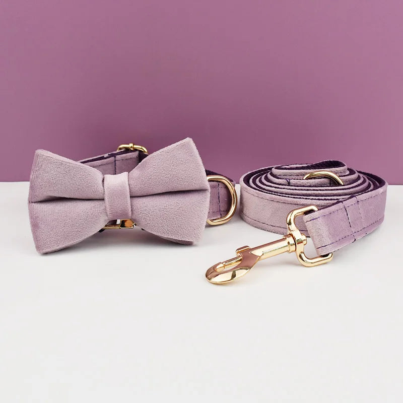 Velvet Dog Collar Leash Free Engrave for Medium Large Dogs Pet Necklace Accessories