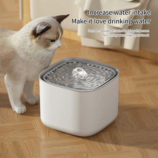 3L Cat Water Fountain Auto Recirculate Filter | Large Capacity | USB Electric Mute Cats Water Dispenser
