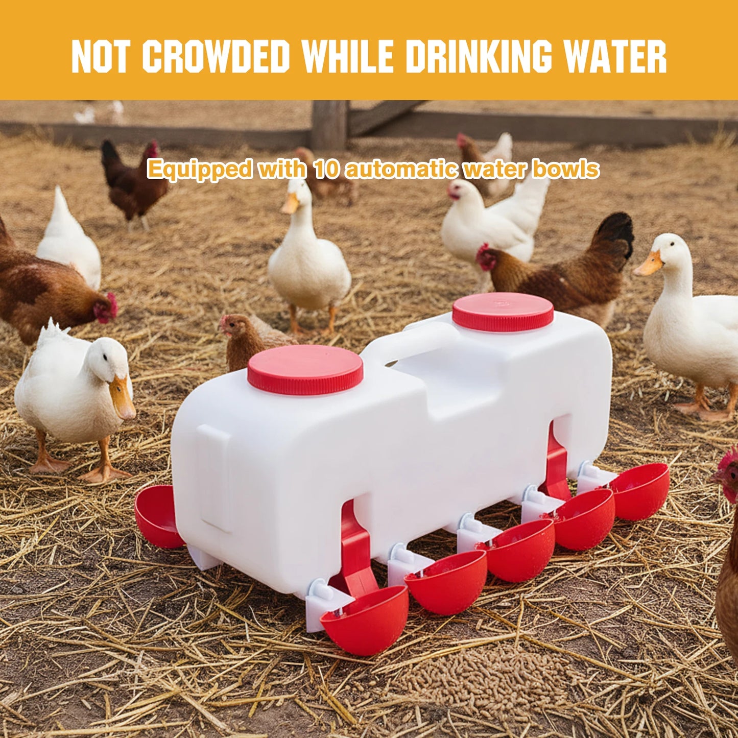 10KG Self Filling Automatic Chicken Water Dispenser with  Drinking Cup for Quail, Duck, Turkey