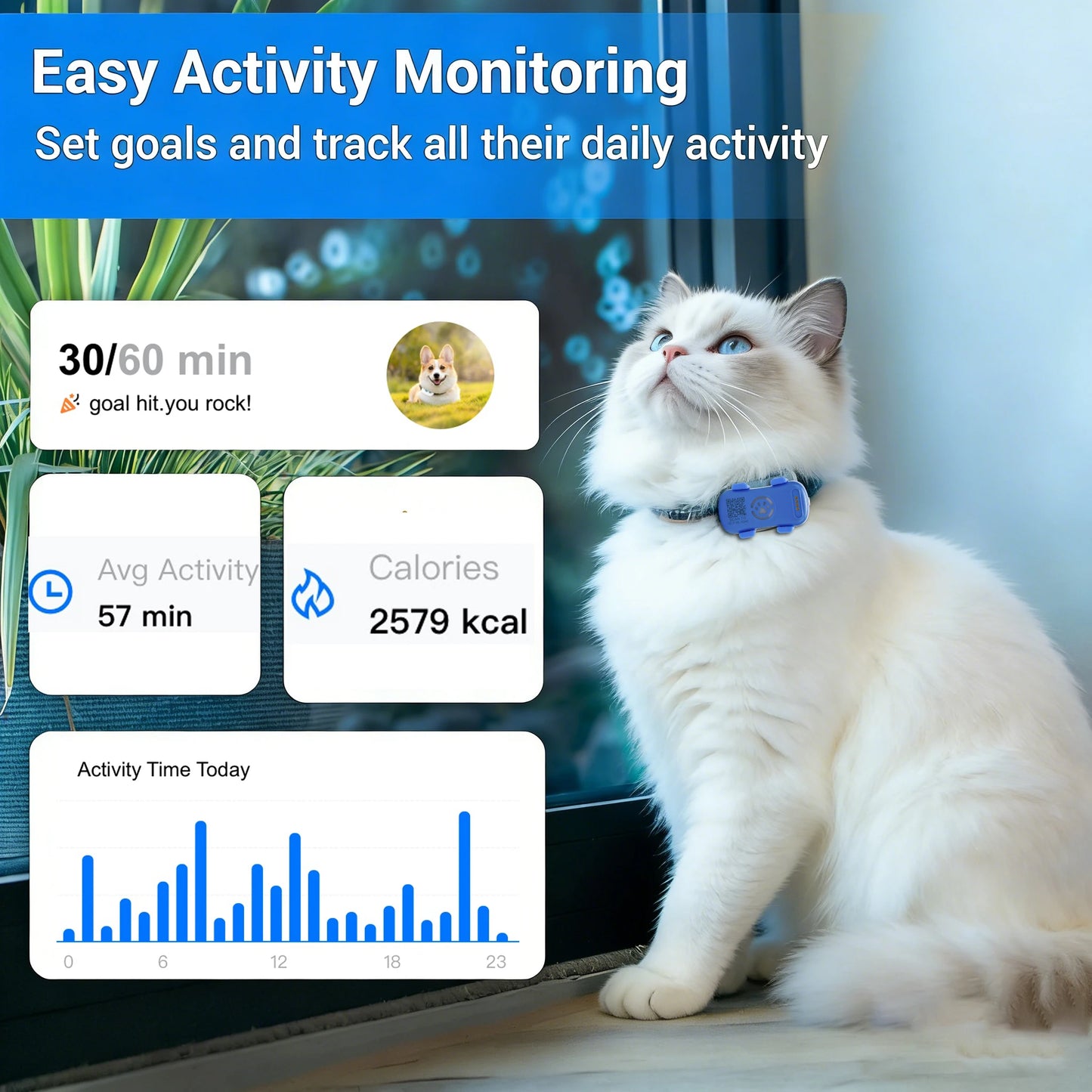GPS Pet Tracker for Dogs and Cats | Real Time Tracking Unlimited Distance QR Code | Anti-Lost Locator with 1-year Service