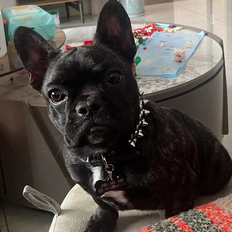 High Quality Dog Rivet Collar and Leash Set | Anti Bite  Collars for Medium Large Dogs