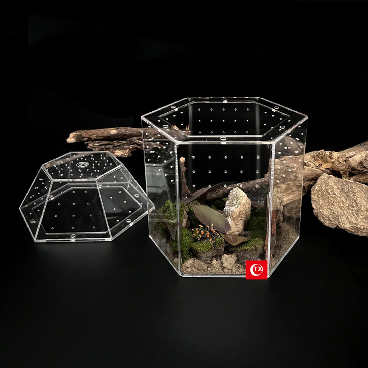 Jumping Spider Enclosure Acrylic Terrarium Habitat All-Side Ventilation, Reptile Breeding Box, Ventilated for Frog, Crickets, Snails